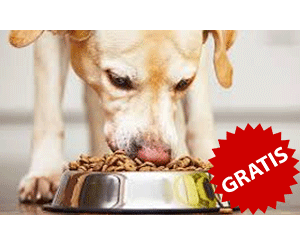 Dinner for Dogs Gratisprobe Nassfutter